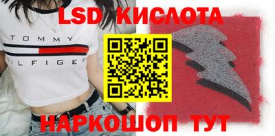 крисы Аргун