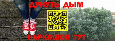 крисы Аргун
