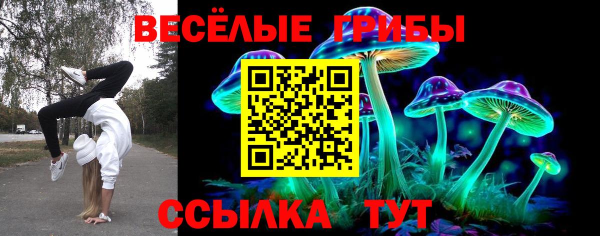 Псилоцибиновые грибы Magic Shrooms Асино